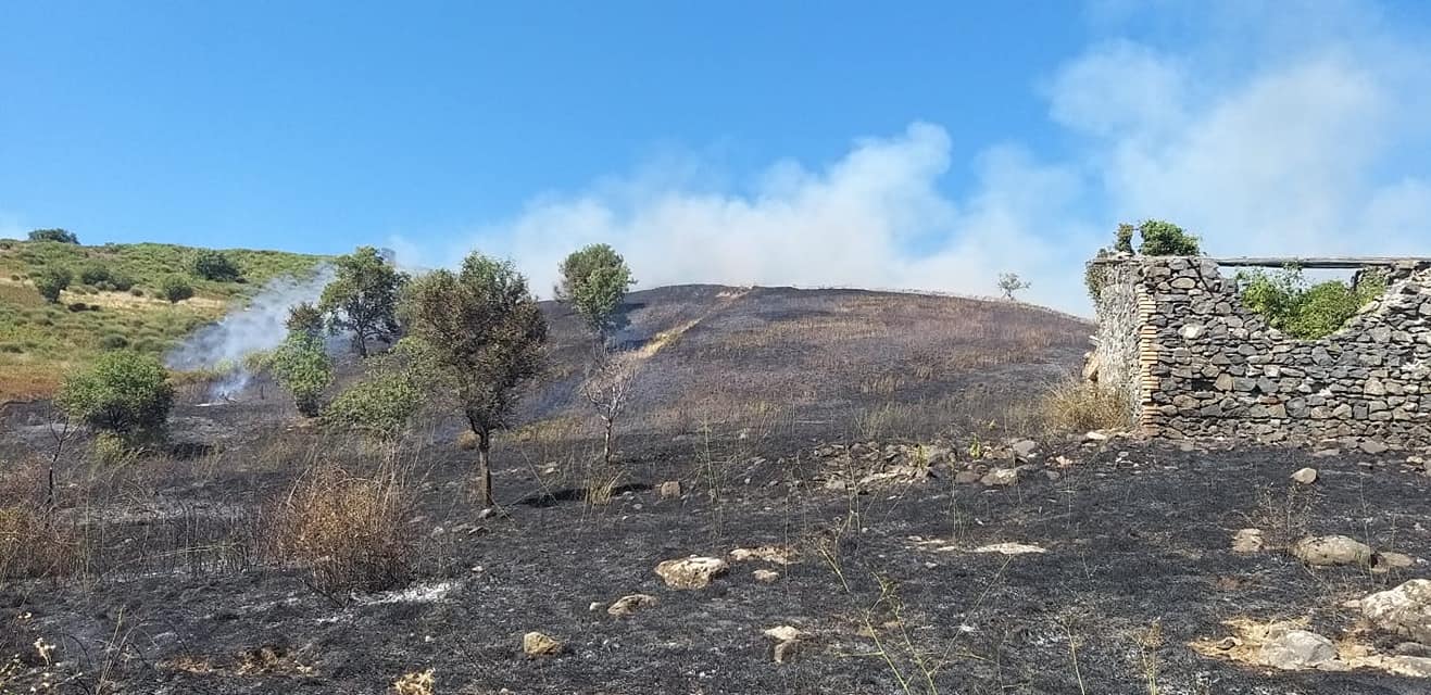incendio-monte-tuscolo