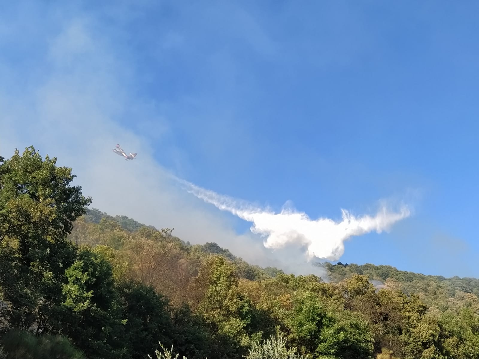 incendio poli castel san pietro 3