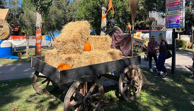 Halloween zoomarine
